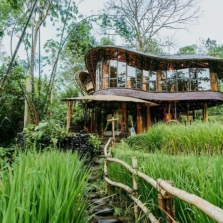 Bambu Indah Resort Ubud  Room photo