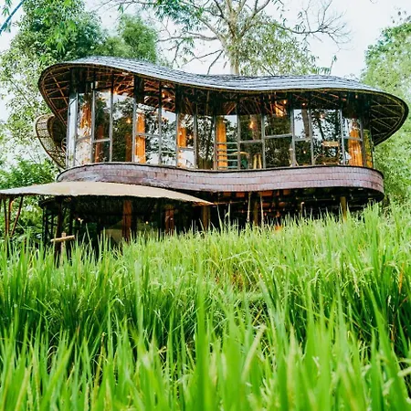 Bambu Indah Resort Ubud  Room photo