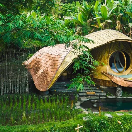 Bambu Indah Resort Ubud  Room photo