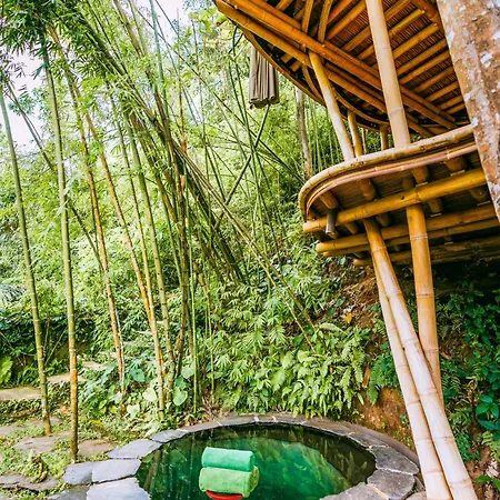 Bambu Indah Resort Ubud  Room photo