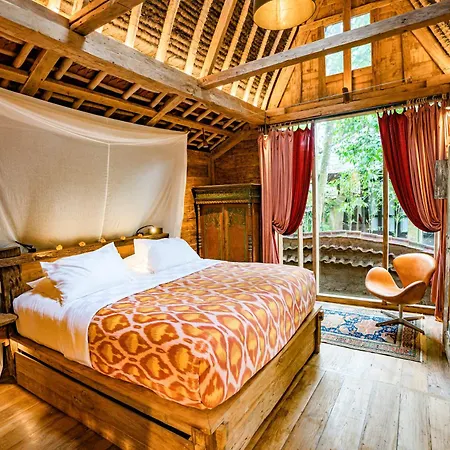 Bambu Indah Resort Ubud  Room photo