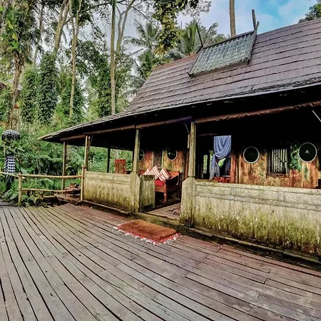 Bambu Indah Resort Ubud  Room photo
