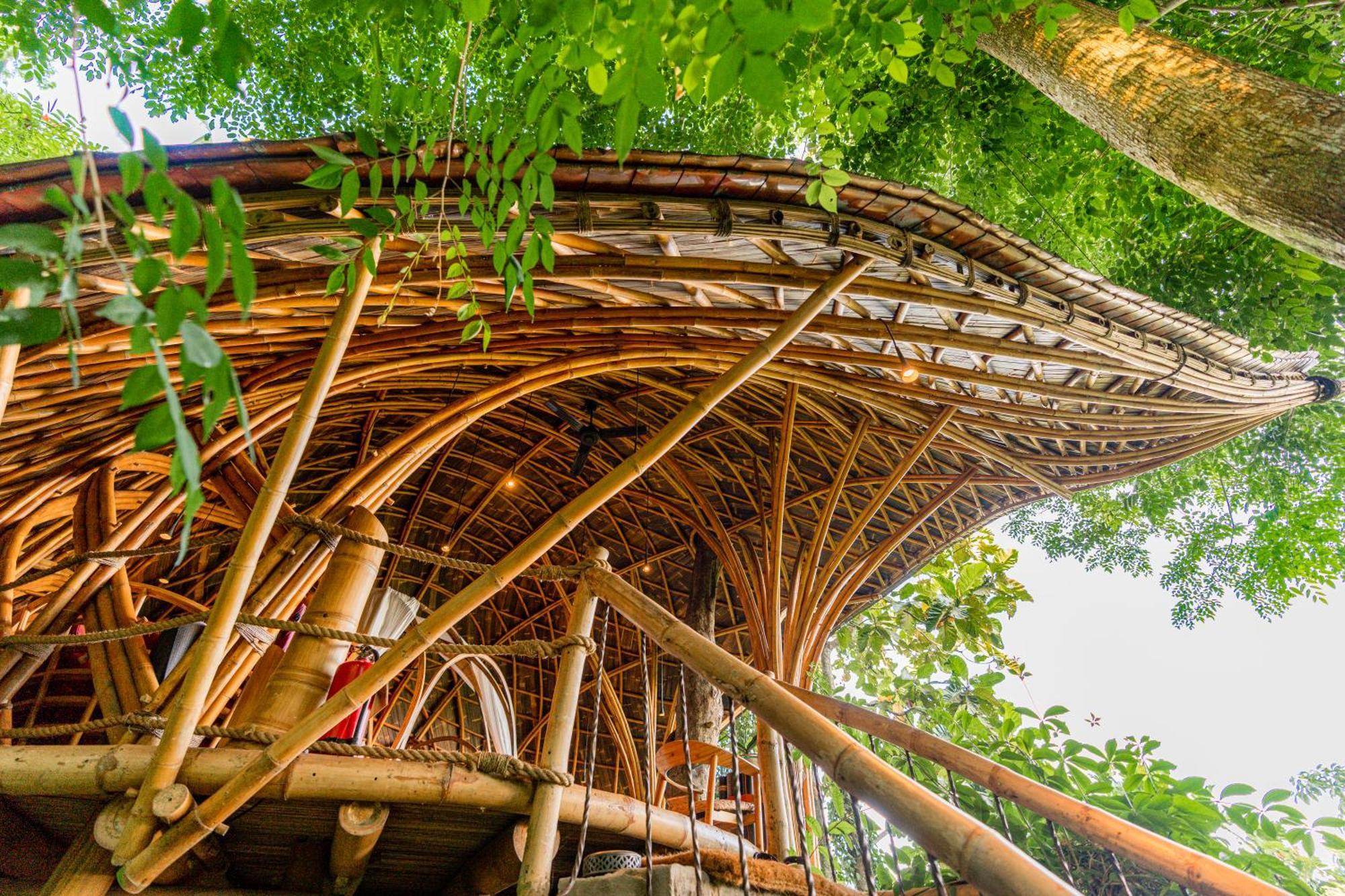 सहारा Bambu Indah