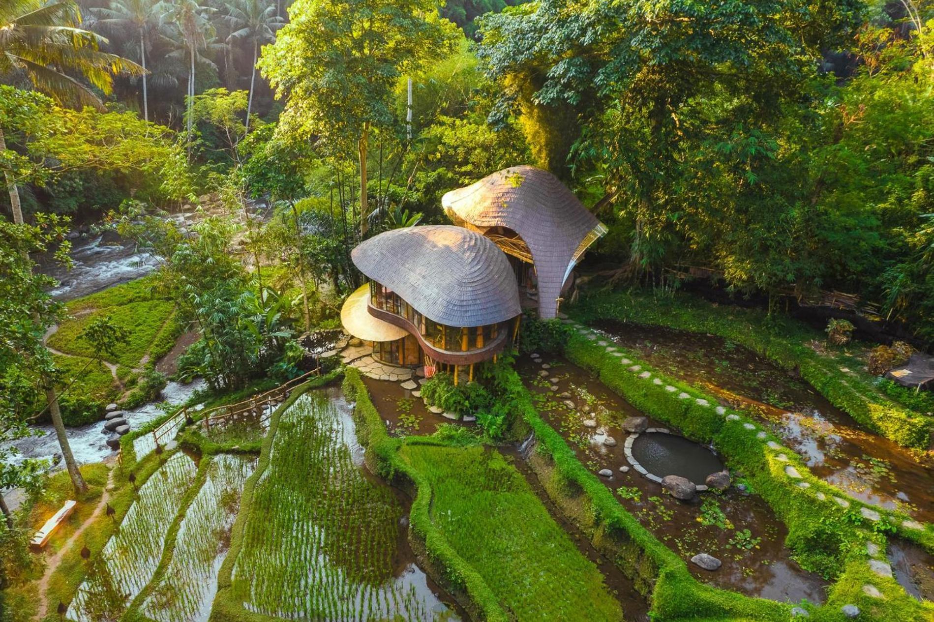 Resort Bambu Indah Ubud